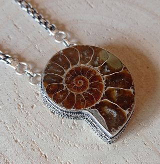 Gargantilla con Fósil de Ammonite