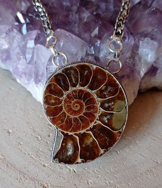 Gargantilla con Fósil de Ammonite