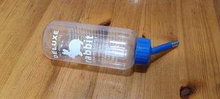 Pack complementos conejo