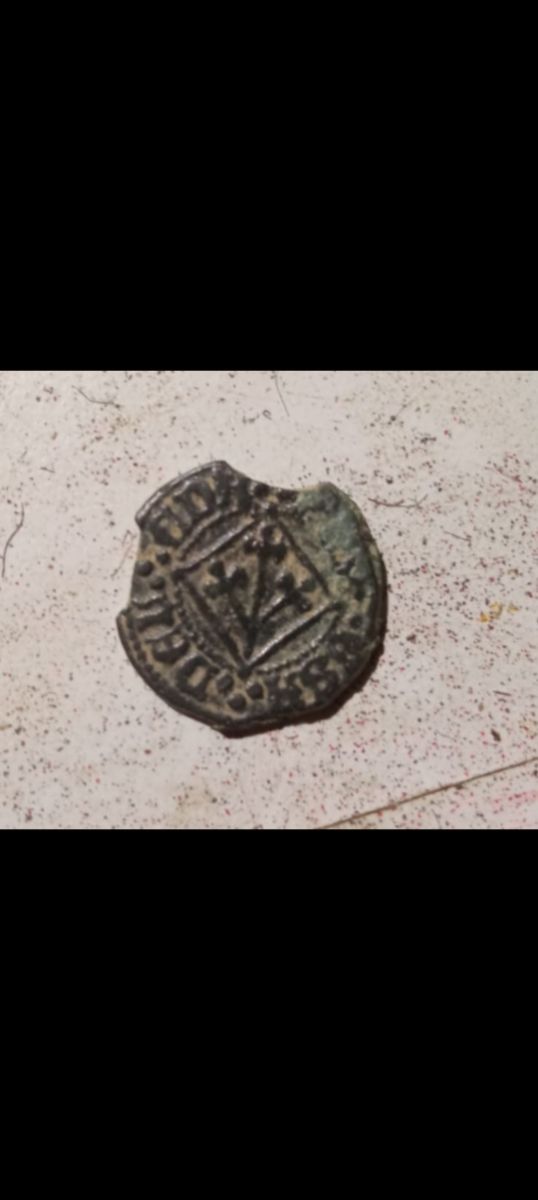 Moneda Pugesa Fernando II