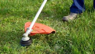 trabajos de jardinería