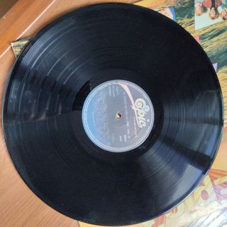 disco de vinilo