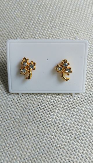 Pendientes hojas brillantes