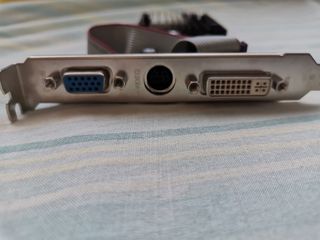 Targeta grafica NvGF300gs