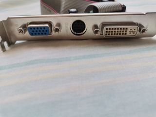 Targeta grafica NvGF300gs