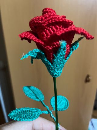 Bocciolo di rosa 