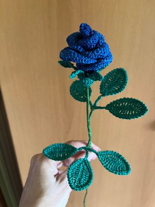 Bocciolo di rosa 