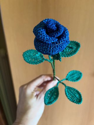 Bocciolo di rosa 