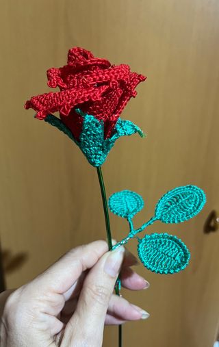 Bocciolo di rosa 