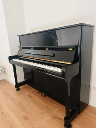 PIANOS Y MUDANZAS EN GENERAL