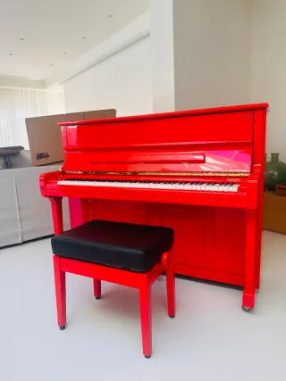 PIANOS Y MUDANZAS EN GENERAL