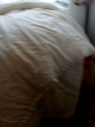 Nórdico grandes y pequeños