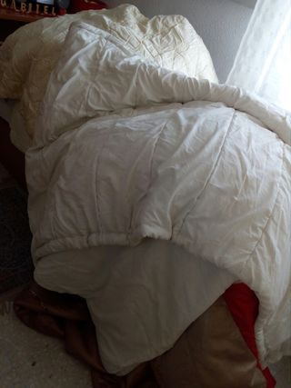 Nórdico grandes y pequeños