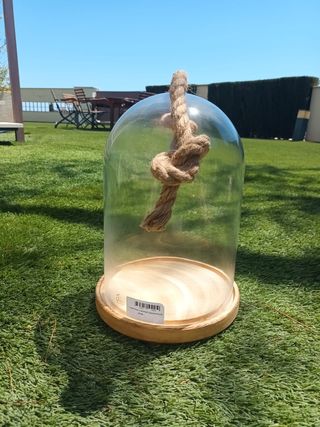 Terrario madera y cristal