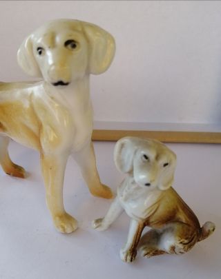 Perritos pequeños de porcelana española.