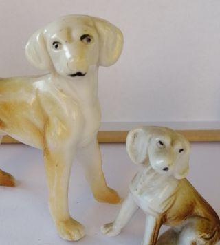 Perritos pequeños de porcelana española.