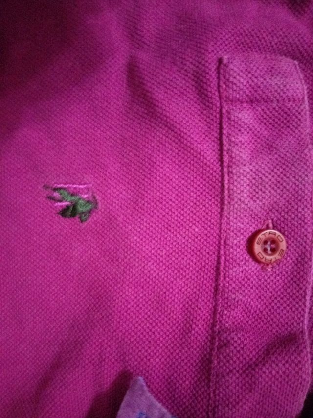 polo Etro 2 anni