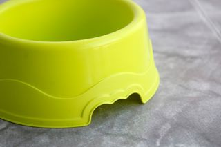 Comedero / bebedero plástico animal