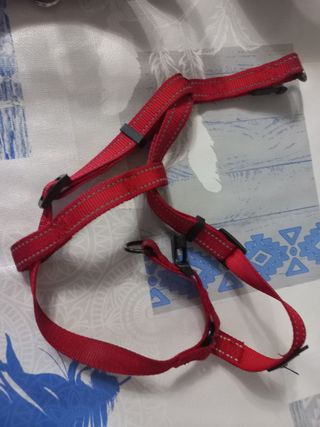 Arnes de perro.