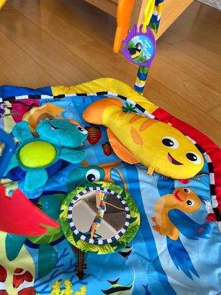 Gimnasio Baby Einstein