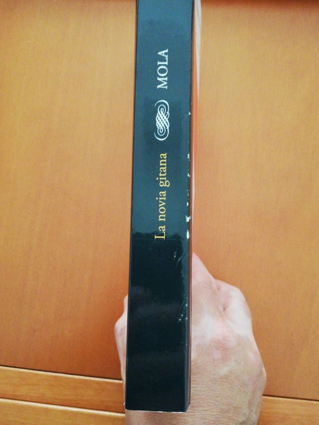 La novia gitana. Carmen Mola.