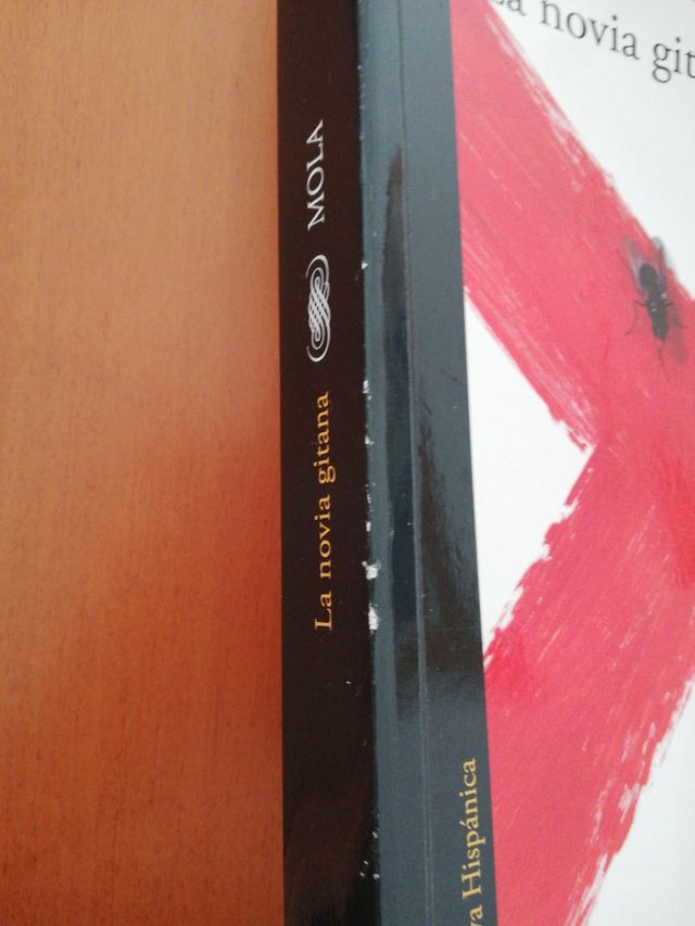 La novia gitana. Carmen Mola.