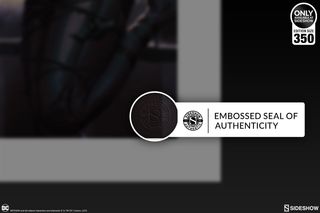 Litografia Catwoman: All Tied Up by Kendrick Lim