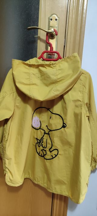 gabardina 