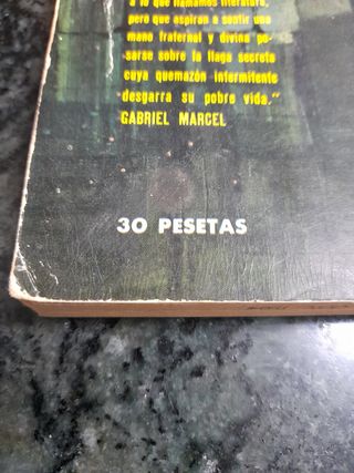 DIARIO DE UN CURA RURAL (GEORGES BERNANOS)