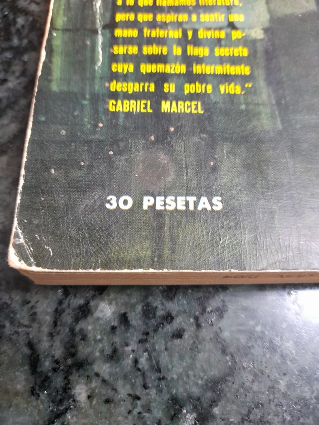 DIARIO DE UN CURA RURAL (GEORGES BERNANOS)
