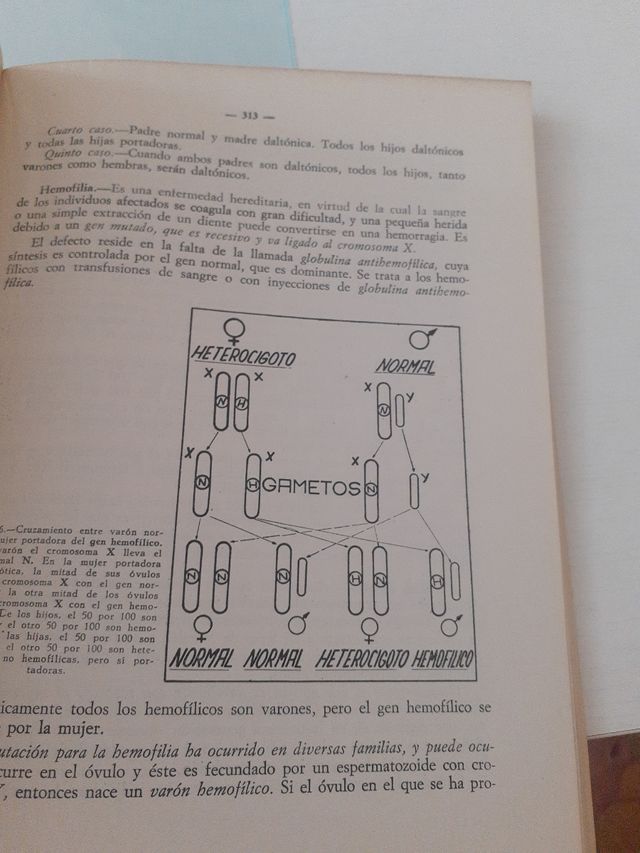 Biología. Dr. F. Bautista y Dr. F. Mascaro.