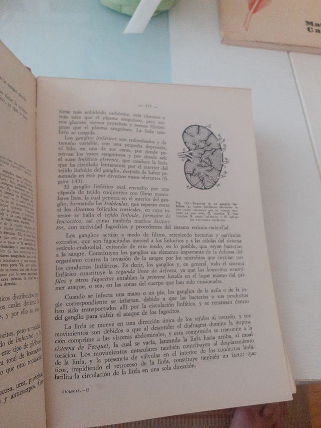 Biología. Dr. F. Bautista y Dr. F. Mascaro.