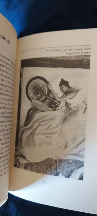 Cómo tener la casa como un cerdo