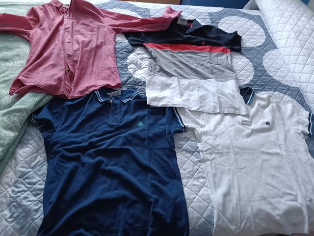 polos y camisa Springfield