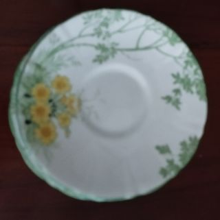 Stoviglie inglesi, scarti