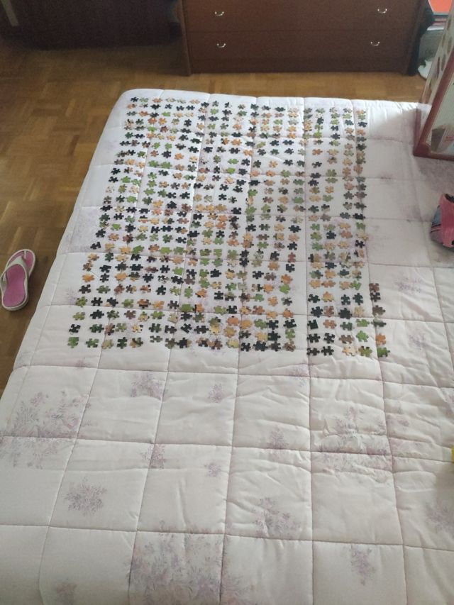 puzzle de 500 piezas.