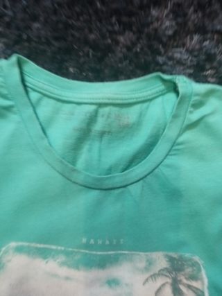 camiseta zara