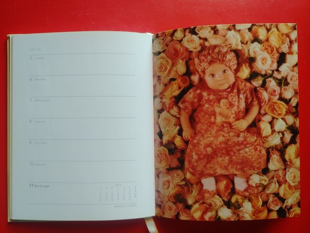 Agenda Anne Geddes 2004