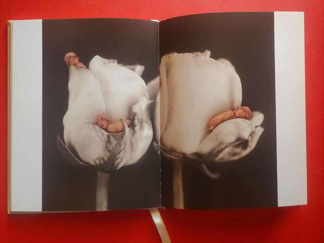 Agenda Anne Geddes 2004