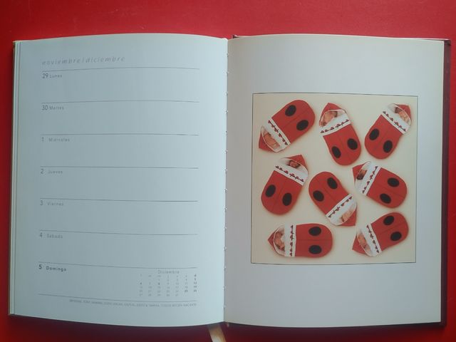 Agenda Anne Geddes 2004