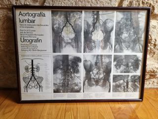 lote Cuadros medicos  decoración vintage.retro