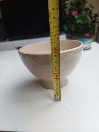 Tazón  PICKMAN  Cartuja.