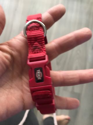 Lote de 2 collares de perro y 1 arnés.