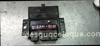 CENTRALITA DE MOTOR RENAULT KANGOO 1359