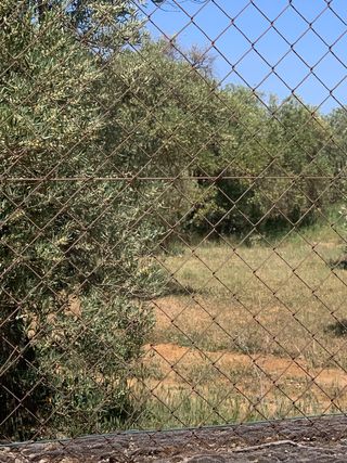 Terreno parcela Rústico en venta 3.500 metros