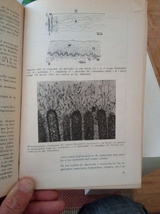 Principios de Biología celular.