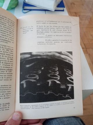 Principios de Biología celular.