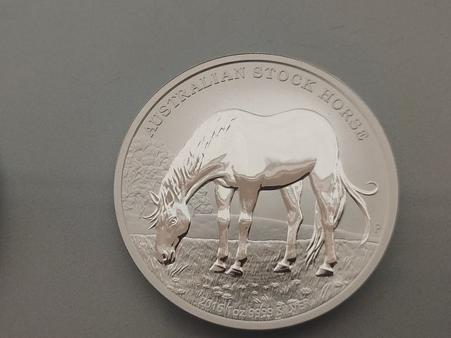 2x ONZAS STOCK HORSE 2015 Y 2016 AUSTRALIA PLATA 9