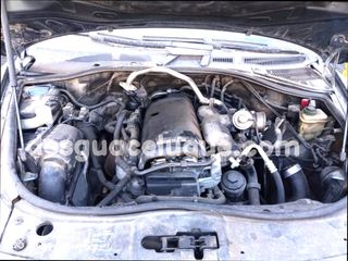 AMORTIGUADOR TRASERO DERECHO NEUMATICO VOLKSW 5568