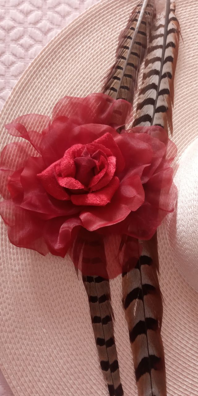 PAMELA CLAUDIA DE LA BOHEME ROSE